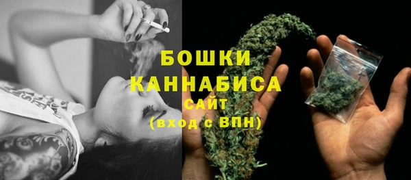 не бодяженный Осташков