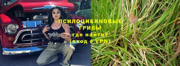 не бодяженный Осташков